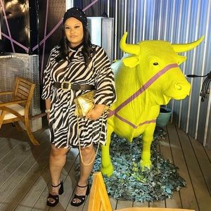 H&M zebra print dress